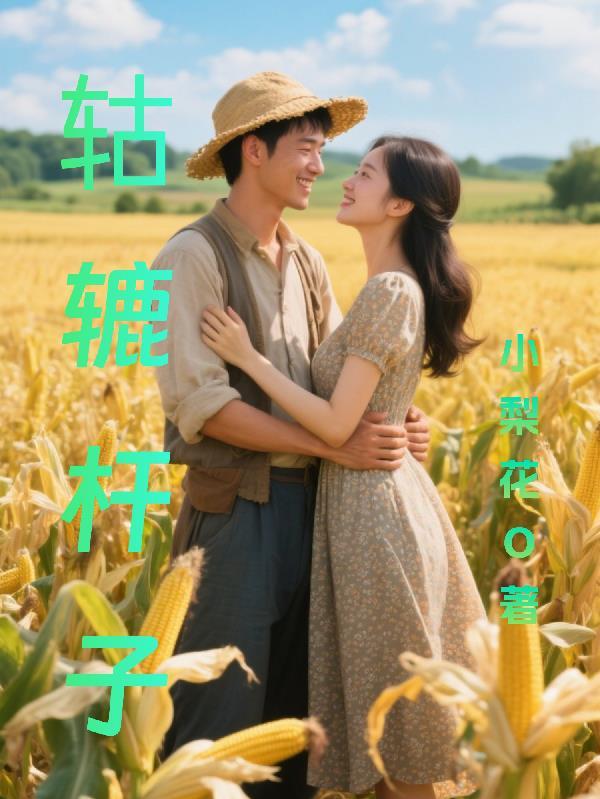 辘轳轮轴杠杆示意图