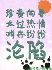 关于向导和哨兵的耽美