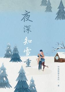 夜深知雪重txt