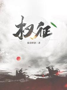 权征途大发张慧张慧免费阅读