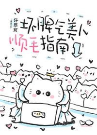 坏脾气美人顺毛指南