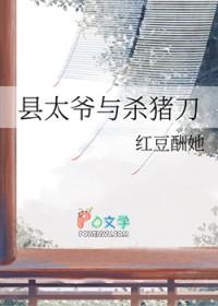 县太爷与杀猪刀