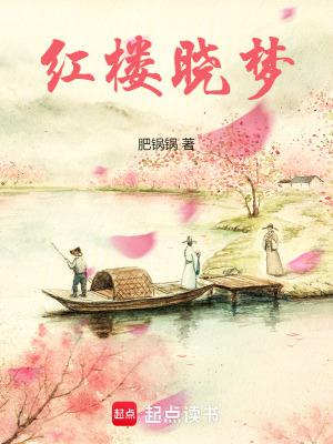 红楼晓梦 红楼晓梦