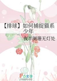 我在古代日本当剑豪精校